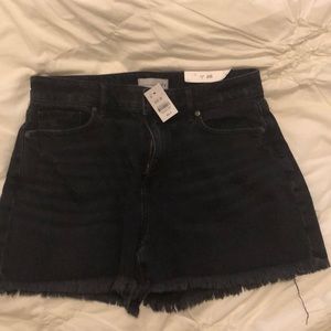 NWT Ann Taylor Loft Curvy high waist grey denim shorts